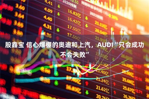 股鑫宝 信心爆棚的奥迪和上汽，AUDI“只会成功不会失败”