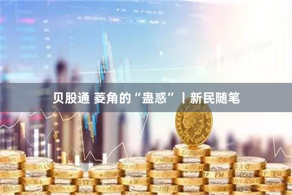 贝股通 菱角的“蛊惑”丨新民随笔