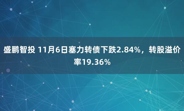 盛鹏智投 11月6日塞力转债下跌2.84%，转股溢价率19.36%