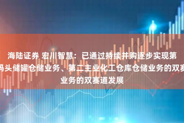 海陆证券 宏川智慧：已通过持续并购逐步实现第一主业码头储罐仓储业务、第二主业化工仓库仓储业务的双赛道发展