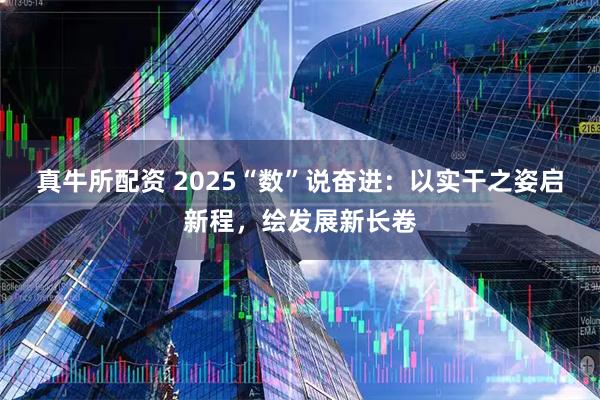 真牛所配资 2025“数”说奋进：以实干之姿启新程，绘发展新长卷