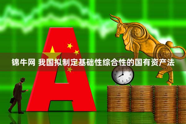 锦牛网 我国拟制定基础性综合性的国有资产法